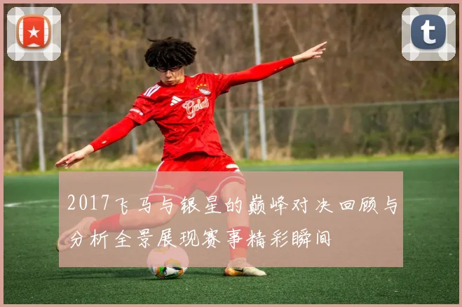 2017飞马与银星的巅峰对决回顾与分析全景展现赛事精彩瞬间