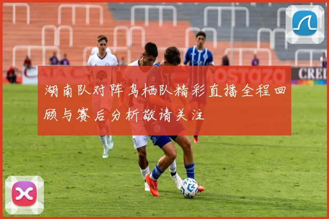 湖南队对阵鸟栖队精彩直播全程回顾与赛后分析敬请关注