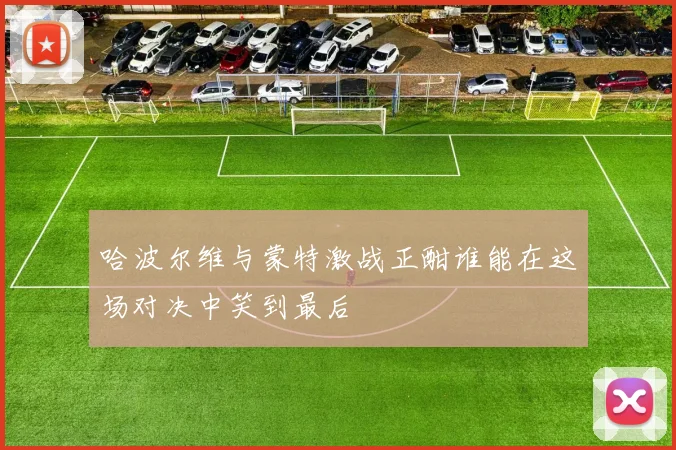 哈波尔维与蒙特激战正酣谁能在这场对决中笑到最后