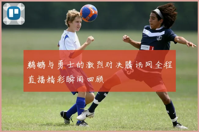 鹈鹕与勇士的激烈对决腾讯网全程直播精彩瞬间回顾