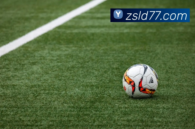 App Interface Preview